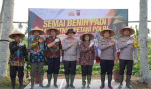 WhatsApp Image 2024-11-01 at 17.24.49