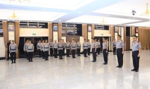 WhatsApp Image 2024-11-01 at 19.29.14