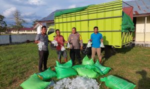 WhatsApp Image 2024-11-06 at 00.04.55