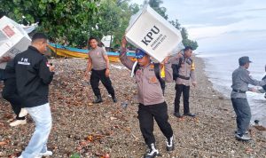 WhatsApp Image 2024-11-25 at 09.29.51