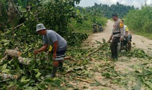 WhatsApp Image 2025-05-27 at 14.37.58