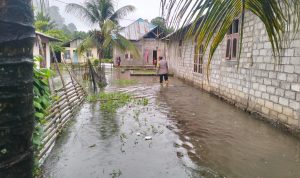 WhatsApp Image 2025-06-19 at 12.31.36