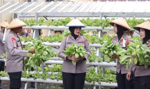 WhatsApp Image 2025-07-07 at 14.14.53